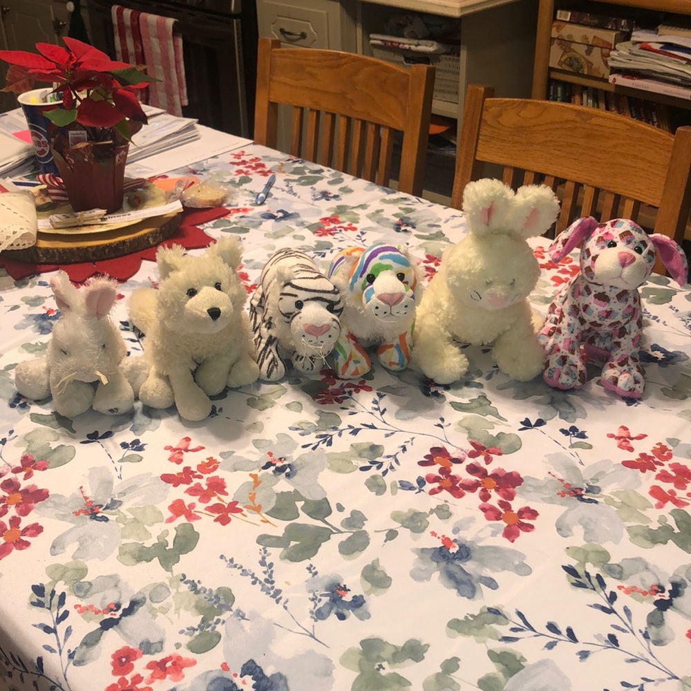 Webkinz bundle!